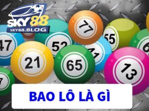 Bao lô là gì?