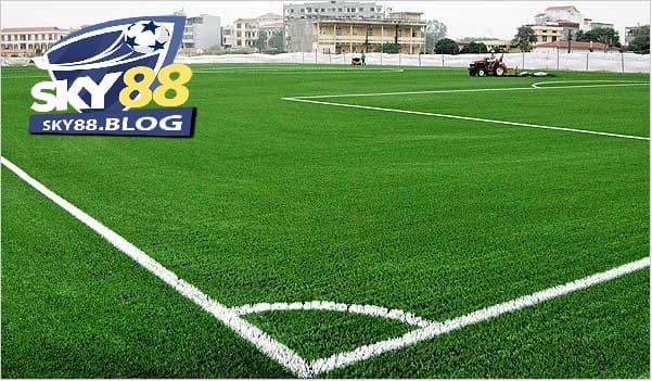 Bóng Đá Cỏ: Khái Niệm Và Kinh Nghiệm Đặt Cược 2025 2 Khái niệm bóng đá cỏ?