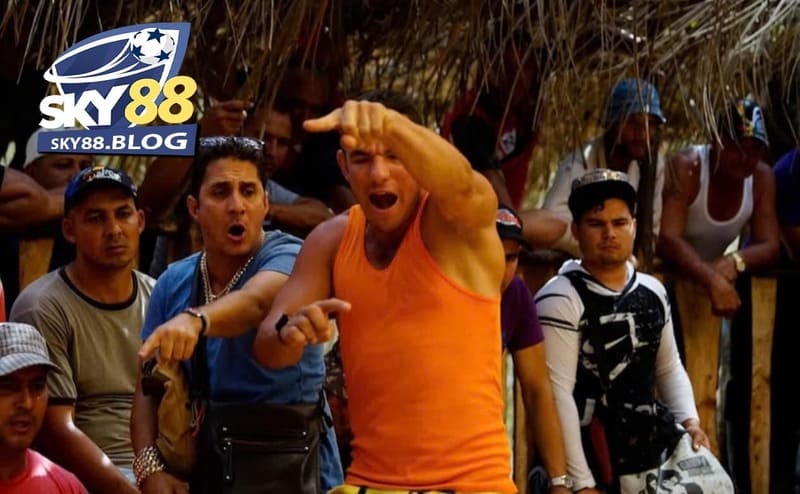 Đá Gà Chọi Cuba Sky88: Sân Cược Cực Đẳng Cấp Cho Kê Thủ 2 Giống Đá Gà Chọi Cuba là gì, một số đặc điểm nhận biết về giống gà này