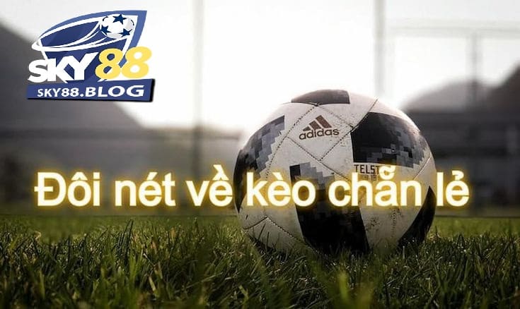 Hướng dẫn cách đánh giá kèo chẵn lẻ
