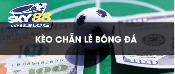 Những bí quyết khi tham gia cá cược kèo chẵn lẻ