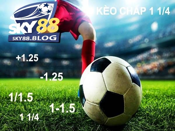 Khám Phá Kèo Chấp 1.25 Trong Bóng Đá Tại Sky88 4 Xem xét bảng tỷ lệ cược từ các nhà cái