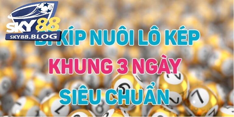 Các loại lô kép phổ biến được sử dụng thường xuyên hiện nay