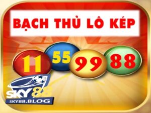 Soi lô cầu kép là gì? Các loại soi lô cầu kép phổ biến