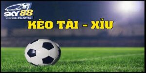 Kèo tài xỉu 1.75 là gì đang được quan tâm và chơi nhiều tại các nhà cái
