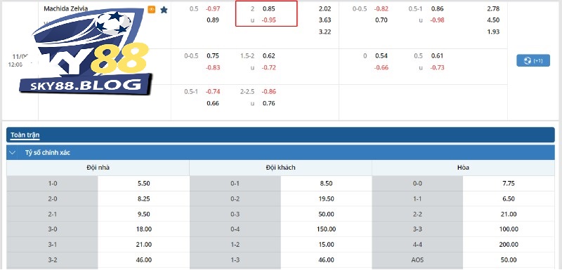 Kèo bóng đá của trận Machida Zelvia vs V Varen Nagasaki