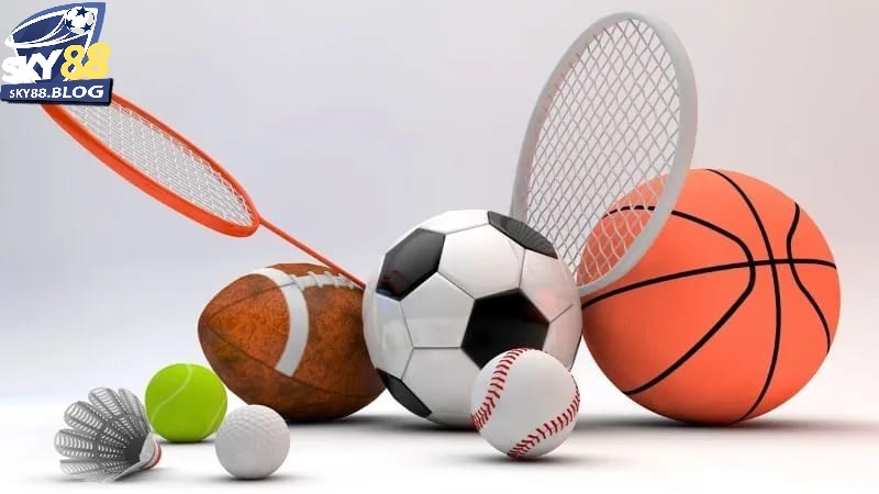Giao Diện và Trải Nghiệm