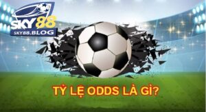 Tỷ lệ Odds là gì?