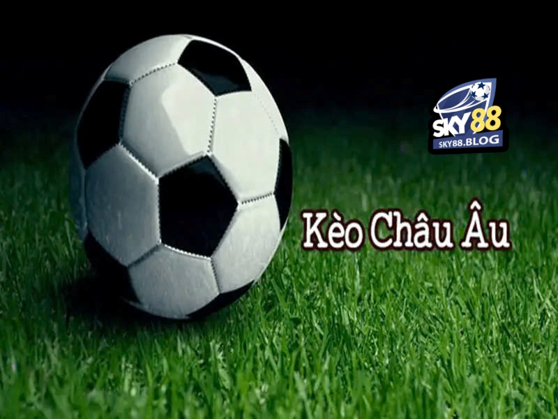 Cửa cược được mọi người chú ý hiện nay