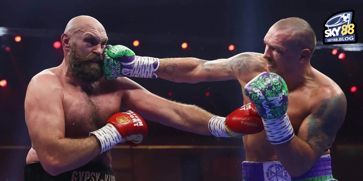 Cá Cược Boxing Online Là Gì?
