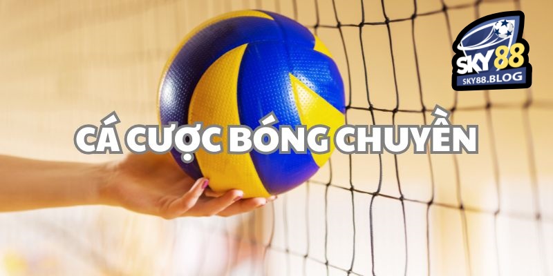 Cá cược bóng chuyền là gì ?