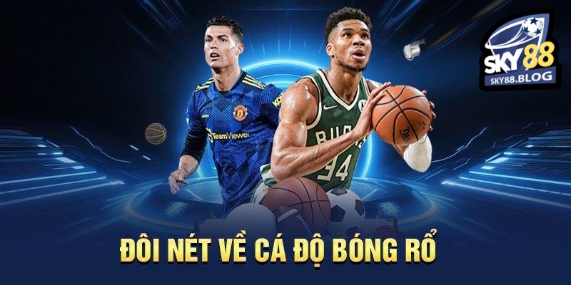 Tìm hiểu về thể loại cá cược bóng rổ