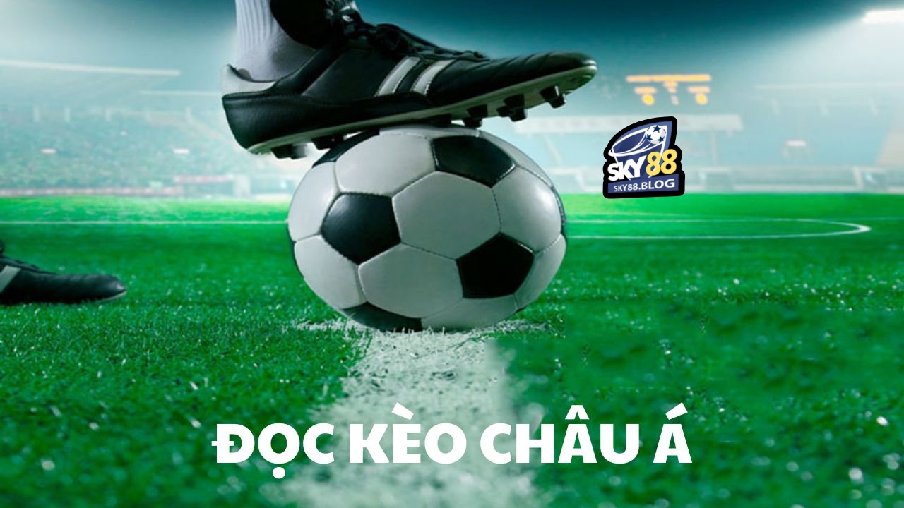 Đặt cược tỷ lệ chấp 0.5 là lựa chọn an toàn cho tân thủ