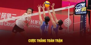 Cược tài xỉu bóng chuyền