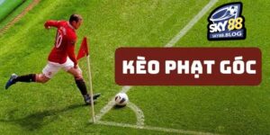Bí quyết chinh phục cá cược kèo phạt góc cho tân binh