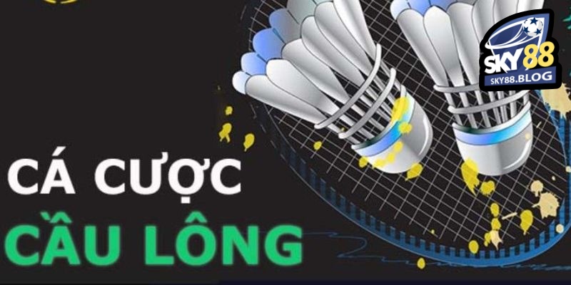 Hướng Dẫn Đặt Cược Cầu Lông Cho Người Mới