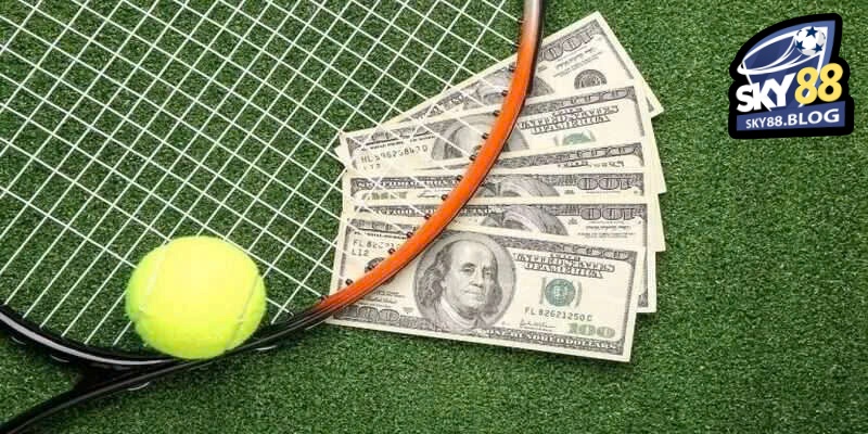 Hướng Dẫn Cá Cược Tennis Dành Cho Người Mới